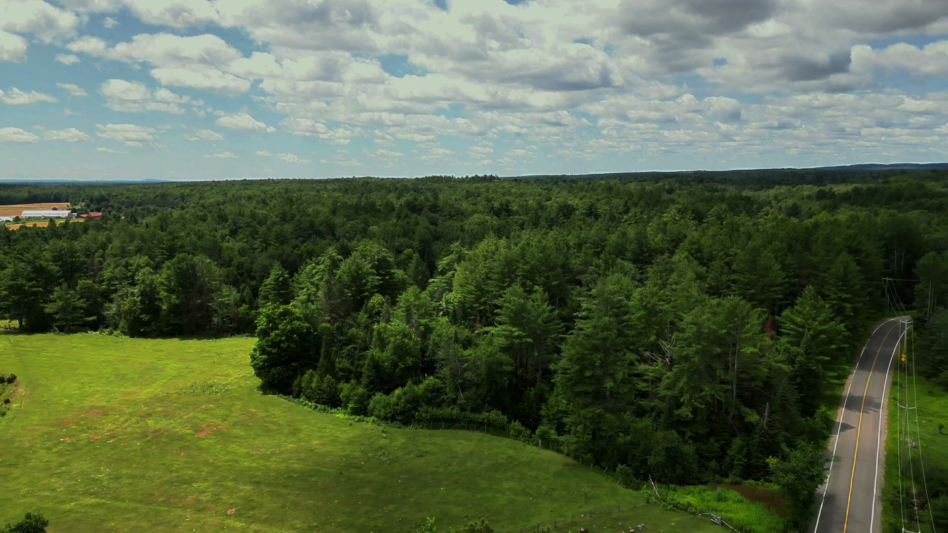 Vue aérienne du domaine et de la forêt