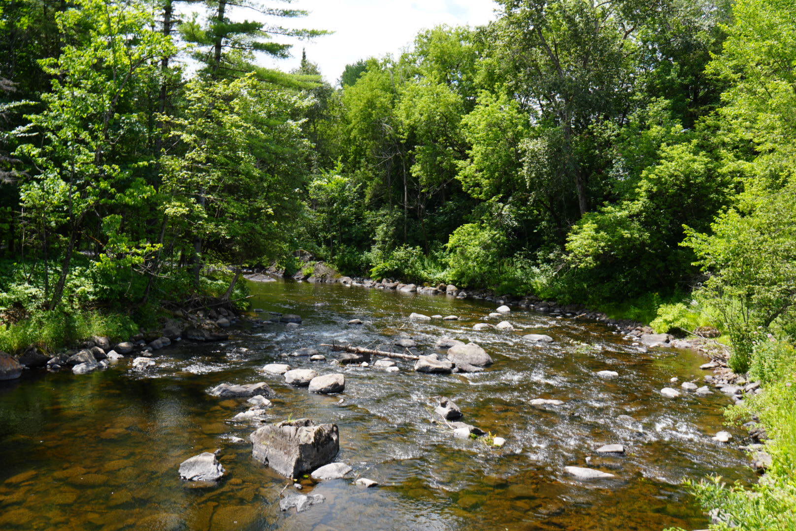 Rivière Abercrombie traversant le terrain boisé